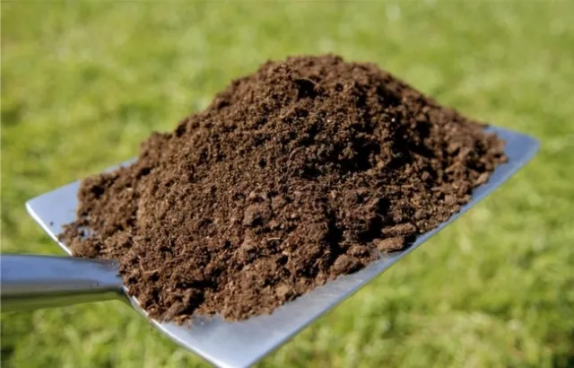Soil (2)