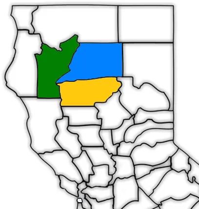 Shasta Cluster