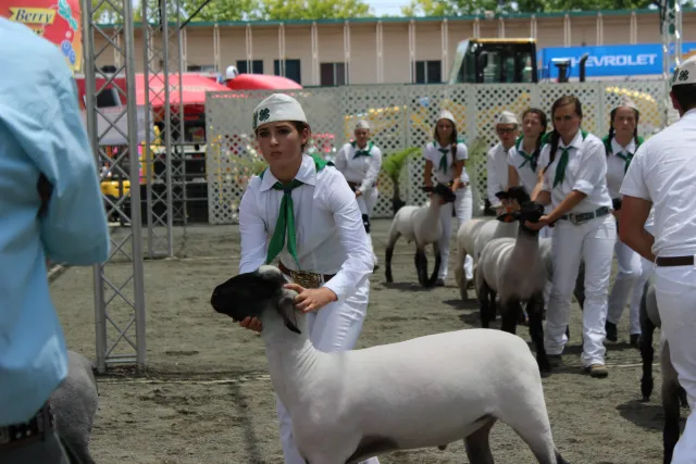 SDCF 2013 025