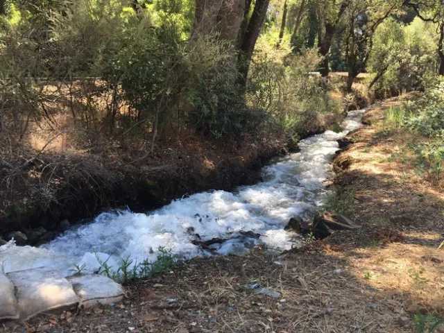 Irrigation Ditch at Bald Hill Road