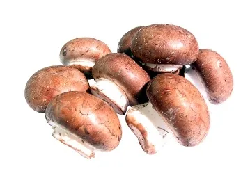 http://www.pachd.com/index.html