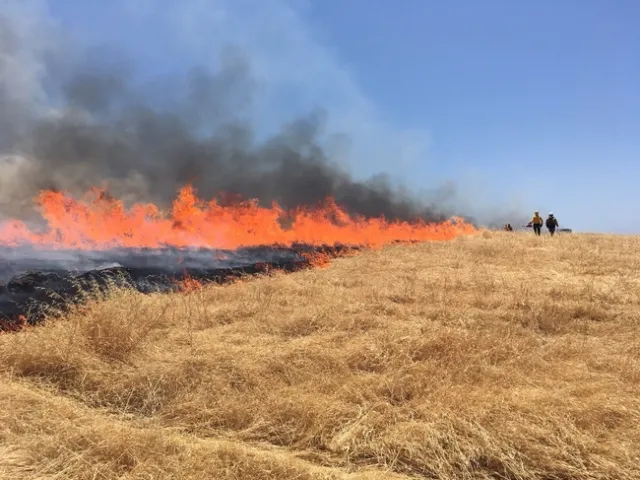 sfrec fire1 (2)