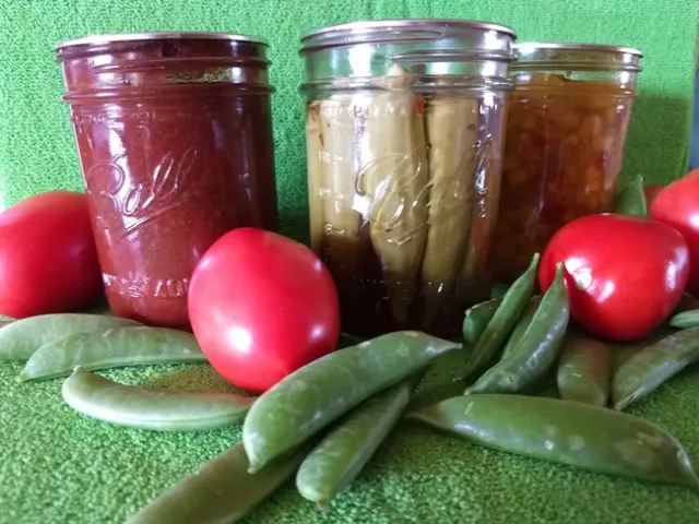 Canned food 1