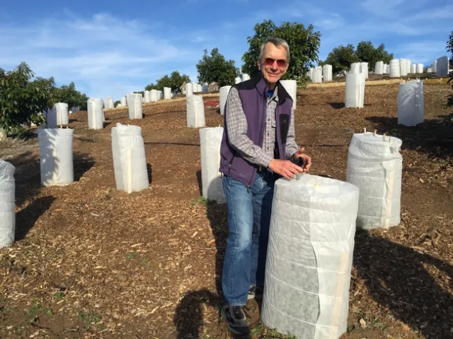 Mark Gaskell examines fiber cloth that protects coffee plants from cold and wind during the first year at Jason Mraz's coffee and avocado farm in San Diego County.