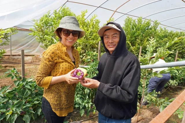 UCCE moringa project leader Lorena Ramos and Vang Thao with purple bell peppers.