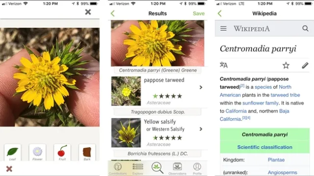 PlantNet Pics