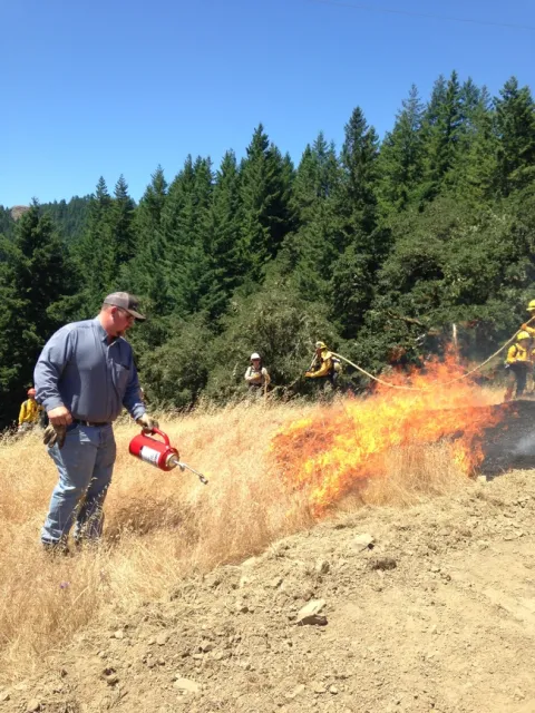 RX Fire
