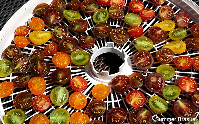 Dehydrate
