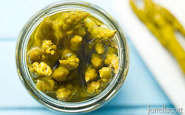 Canned Asparagus