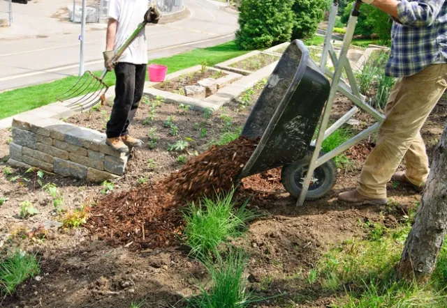 Mulch is a beautiful compliment to your landscape - not only is it aesthetic but it provides a valuable service to your soil.