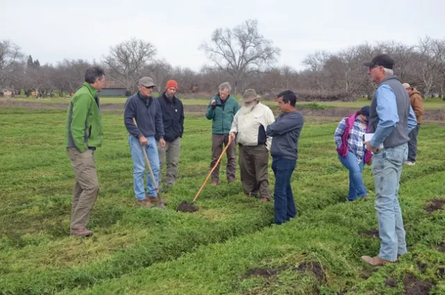 A group of organic farmers, shown above, are working with UC researchers to minimize tillage and optimize soil characteristics on their farms.