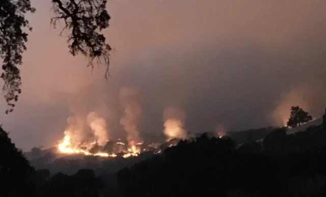 The River Fire created a unique opportunity for fire research at Hopland REC, says John Bailey, interim director.