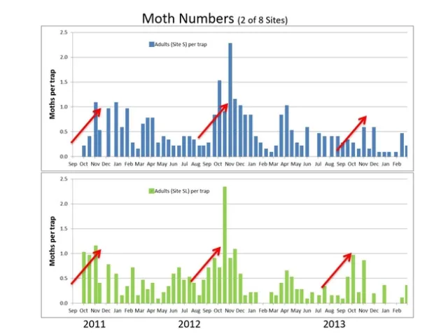 Lbam moth flights