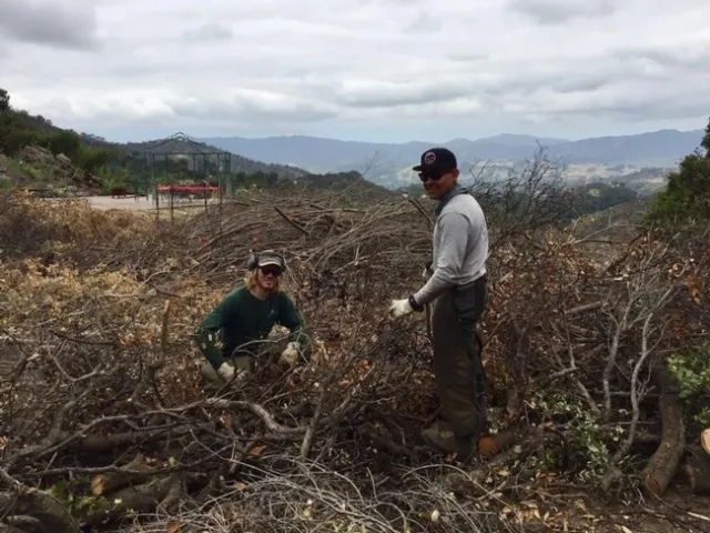 CREW fire clearance