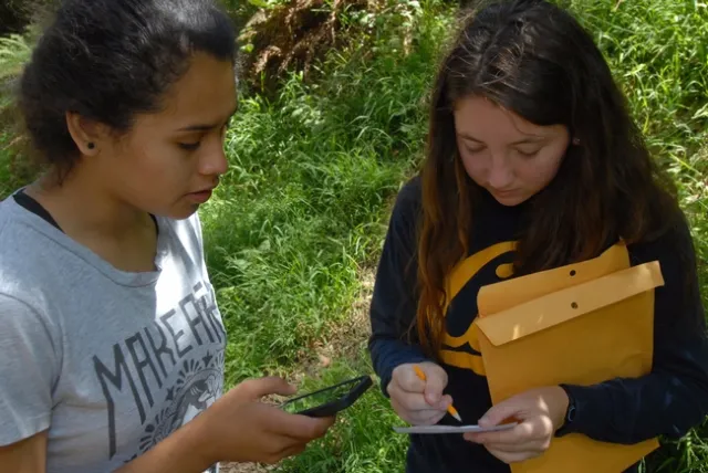 SOD Blitz volunteers collect leaf samples and record the location using the SODmap mobile app.