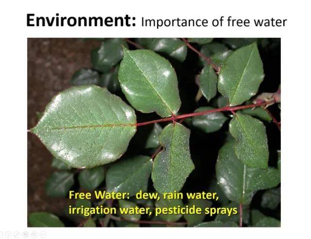 Environment
