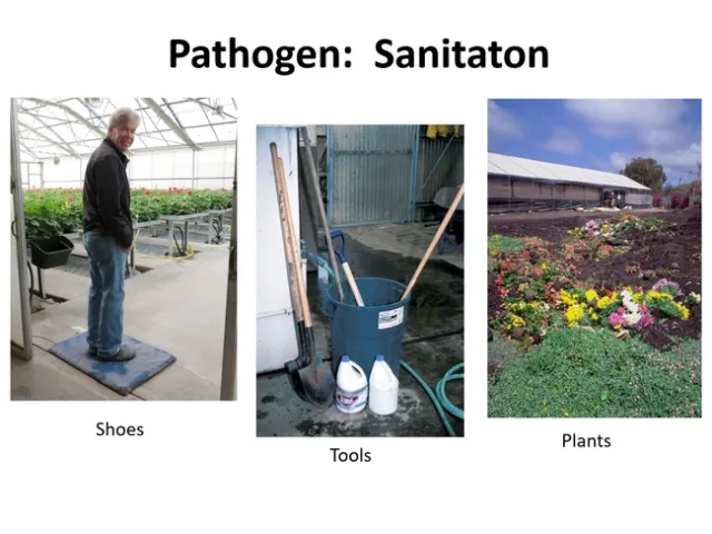 Pathogen