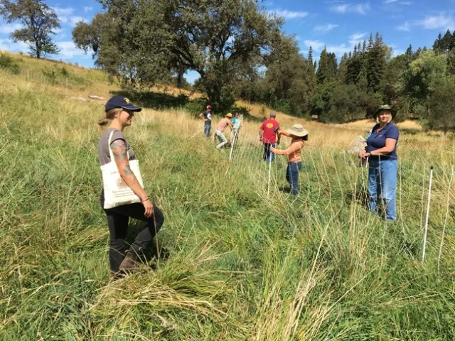 Grazing workshop students putting up temporary electric fence netting.