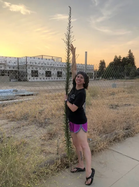 Lynn and Horseweed