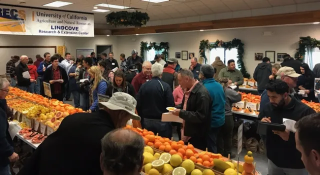 Lindcove REC held its annual citrus sampling.
