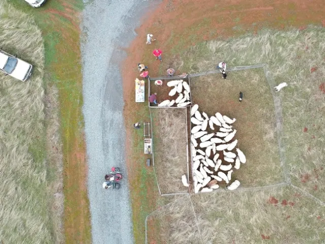 bud box aerial