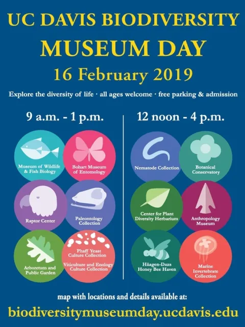 The list of 13 museums or collections.