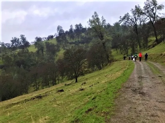 A group of UC Davis Hydrology students walking along a steep sloped trail at SFREC.