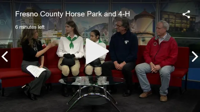 HorseShow Pic