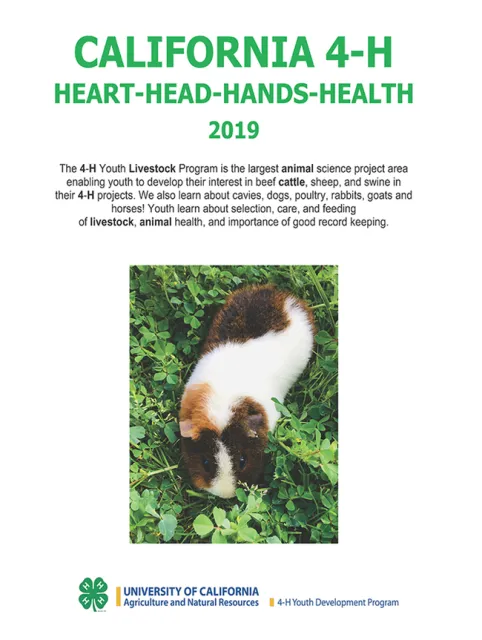 Promotional ad by Lydia Salters, age 9