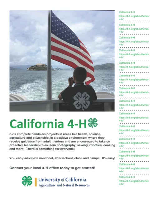 Promotional ad by Benjamin Salters, age 12