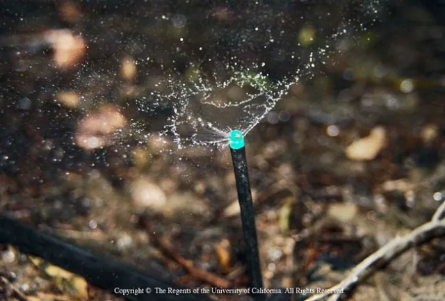 Nitrates are water soluble and do not adhere to soil, so they may leach during irrigation.