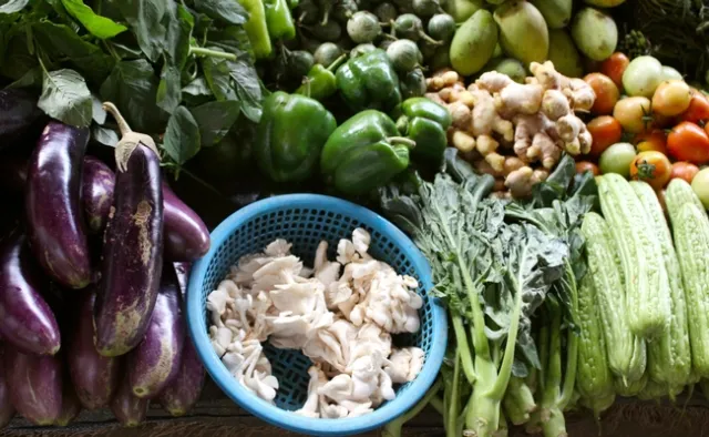Camboya: Una