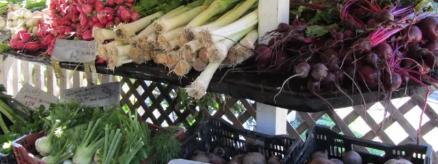 Specialty crops