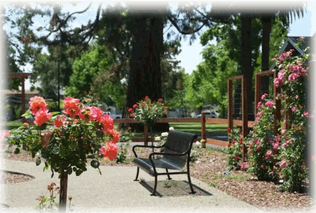 Rose_Bench