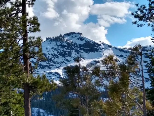Donner delight