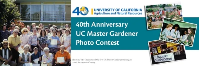 2019 Photo Contest