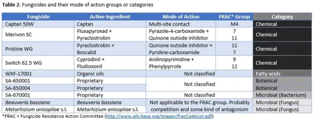 Table 2