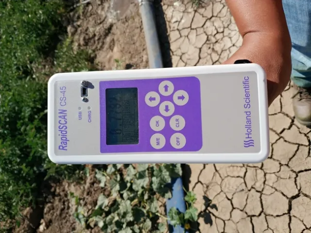 IMG 20190702 104811