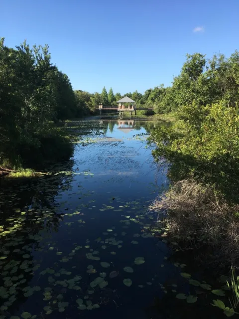 One of the ponds