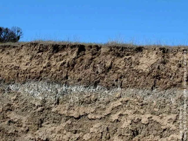 Figure 7. A calcic horizon about two feet below the surface; east of Paso Robles.