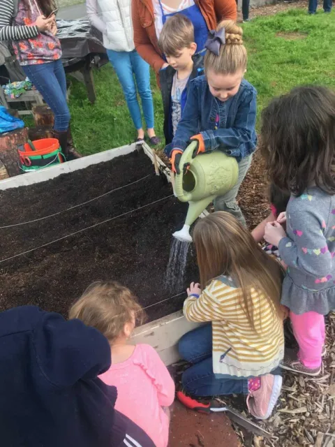 Artisan watering