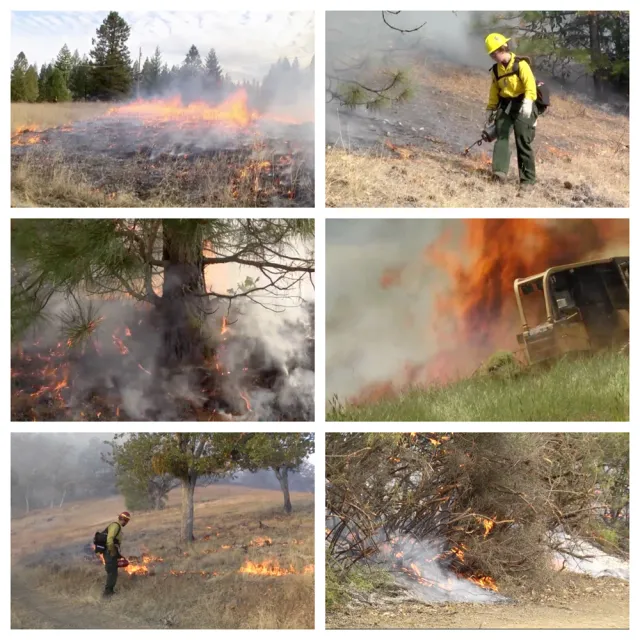 wildfire composite small