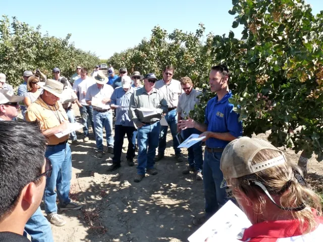 UCCE entomology advisor David Haviland, right, speaks with farmers and pest control advisors in a pistachio orchard.