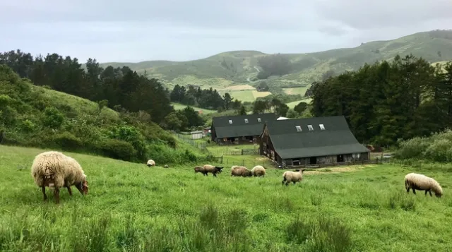 Elkus Ranch