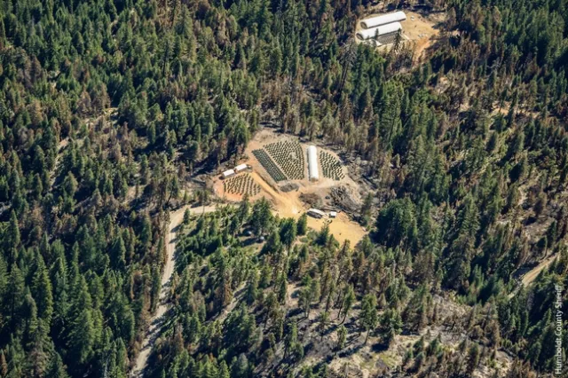 Cannabis cultivation -- both licensed and unlicensed -- has expanded rapidly in Humboldt County. A new survey sheds light on how the community is adapting.