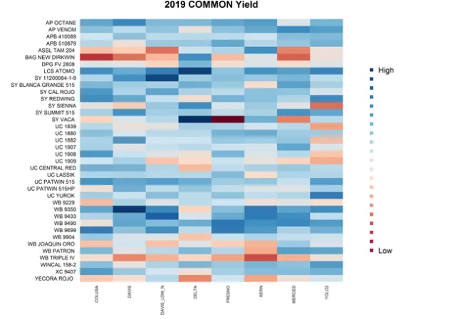 2019 Common Wheat Yield Heat Map