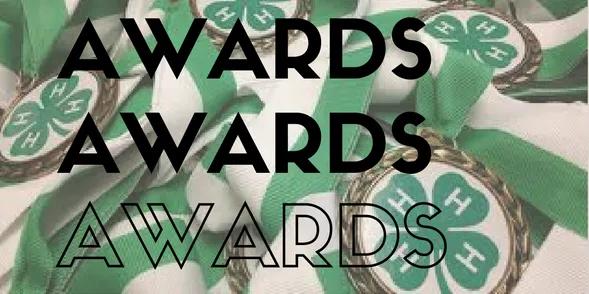 Awards-1