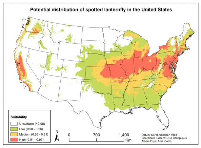 spotted lantern fly map