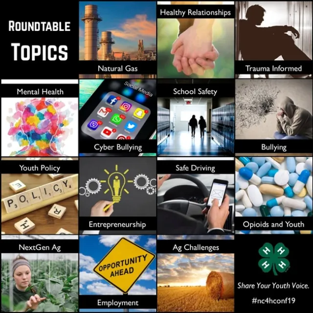 Roundtable topics for 2019 National 4-H Conference