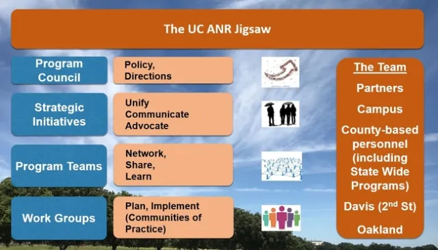 ANR Jigsaw